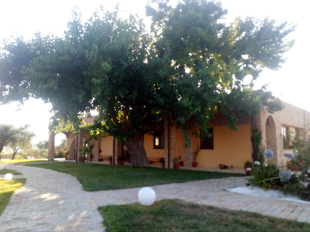 Agriturismo Piccolo Albero Loreto Aprutino Eksteriør billede