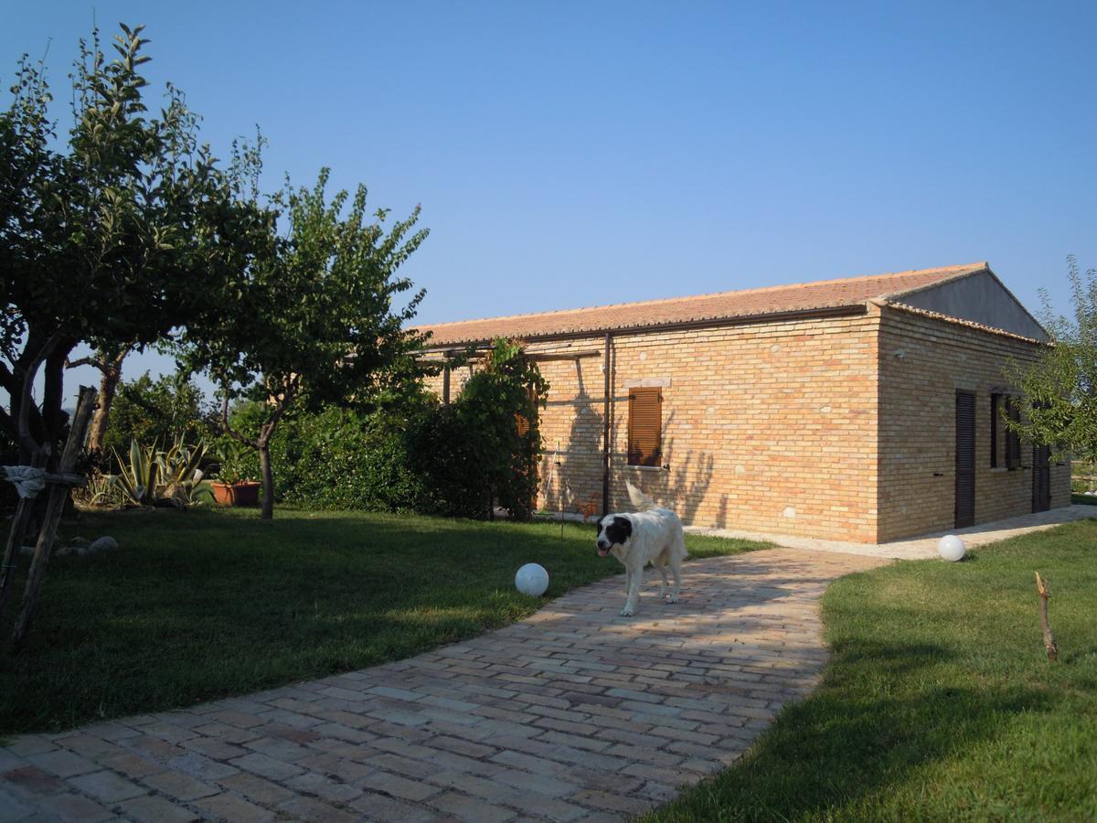 Agriturismo Piccolo Albero Loreto Aprutino Eksteriør billede